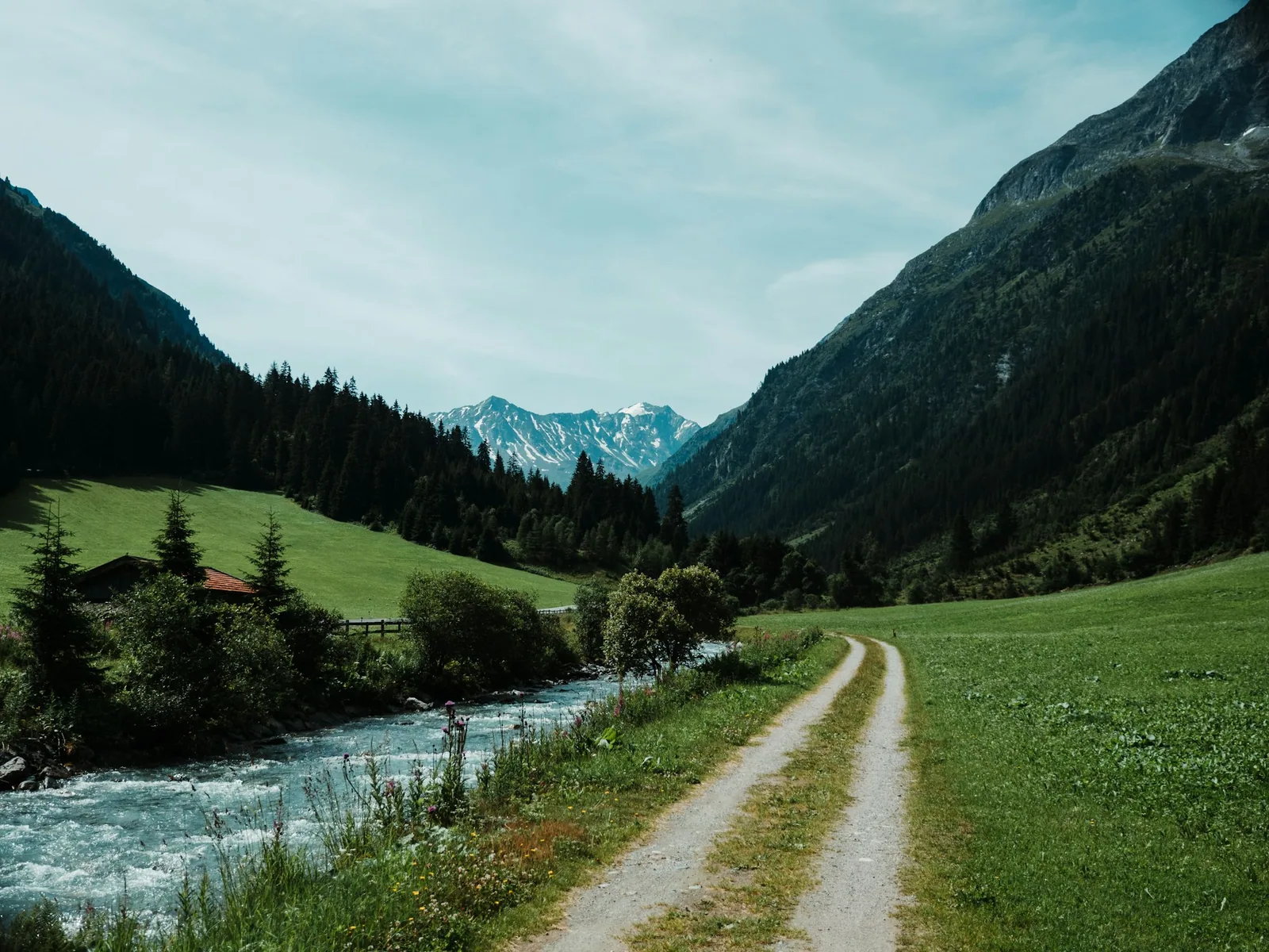 Grünes Gebirgstal mit Bach, Feldweg und Wald